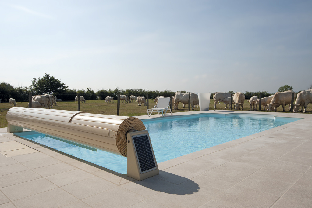Grande piscine extérieure rectangulaire