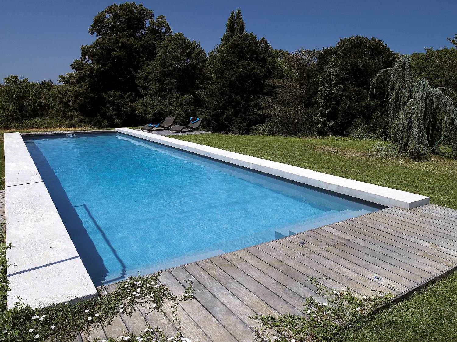 Grande piscine extérieure rectangulaire